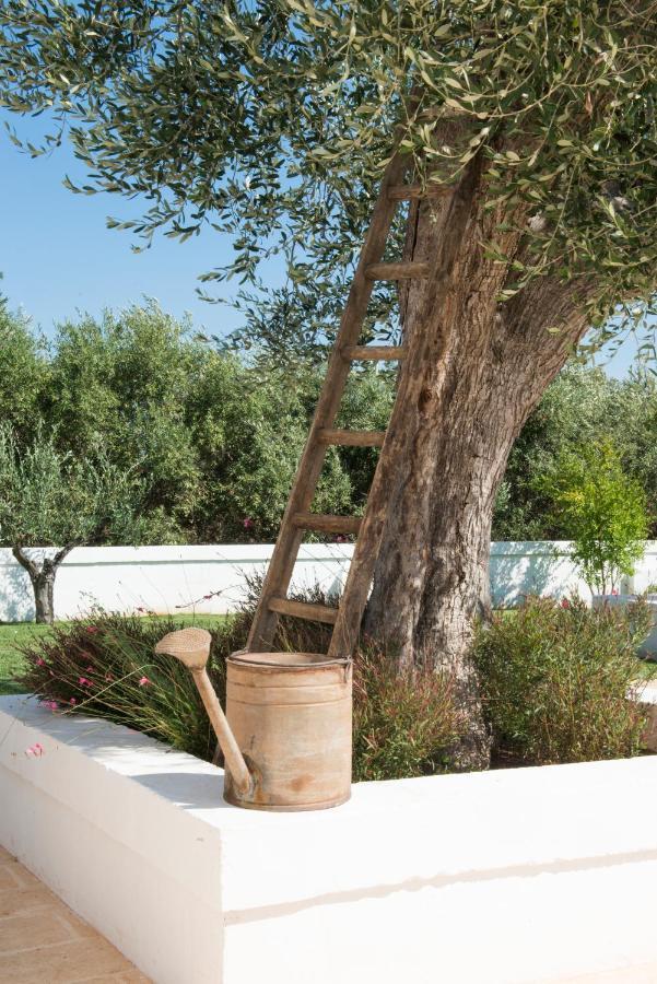 Masseria Le Torri Полиняно а Маре Екстериор снимка