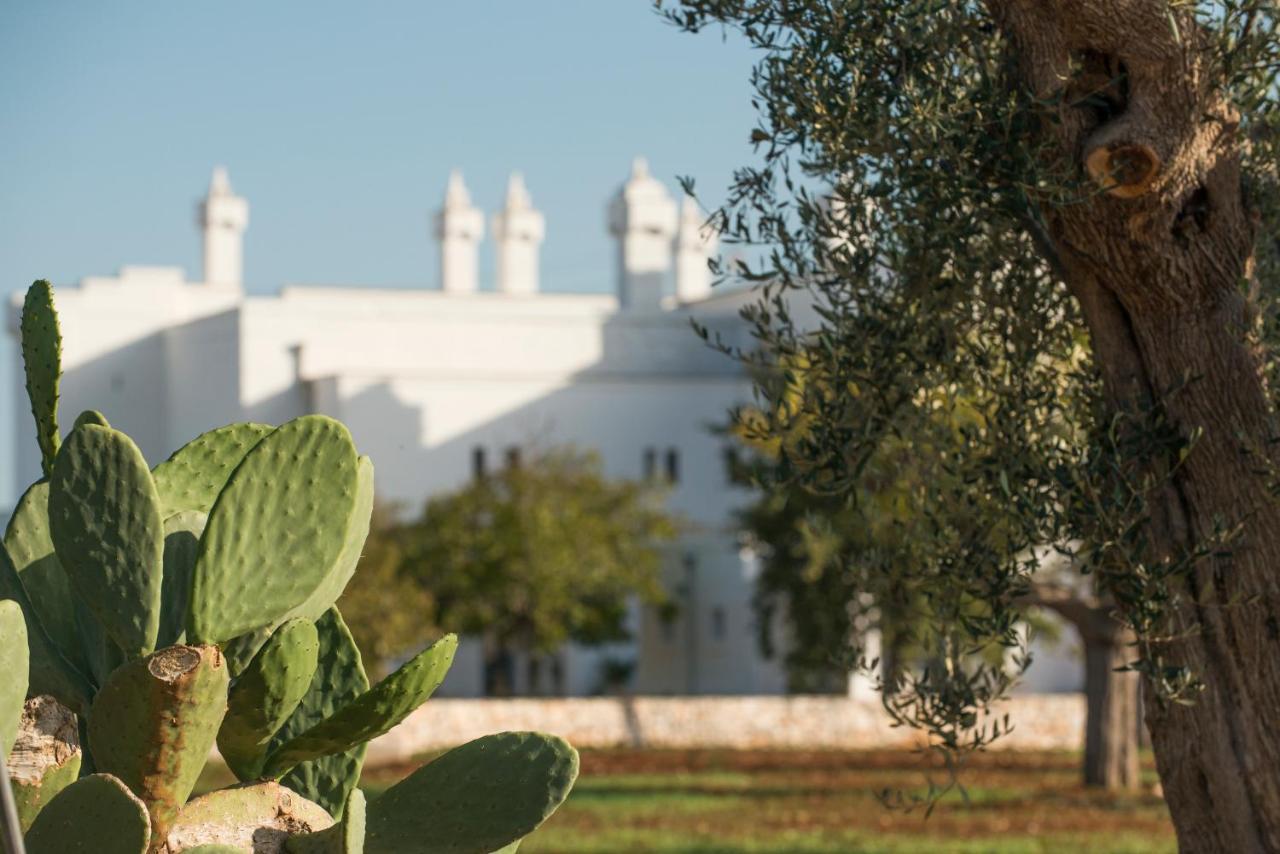 Masseria Le Torri Полиняно а Маре Екстериор снимка